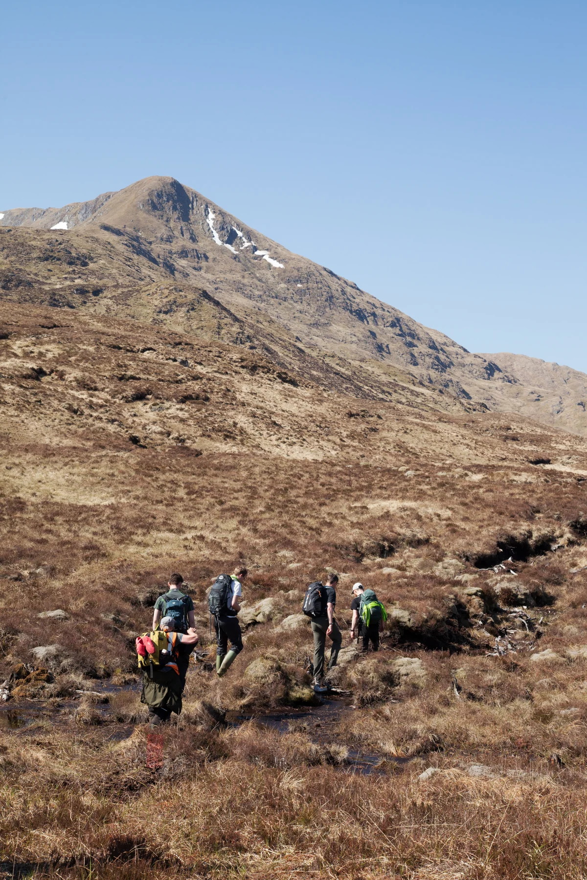 The varied woodland and open landscape of Glen Affric