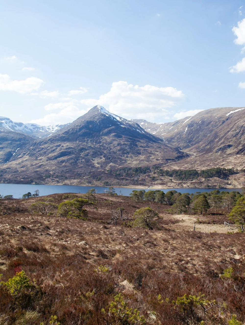 Glen Affric forest landscape
